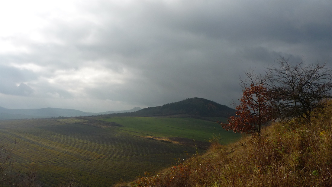 Ze svahů Libeše. Křížový vrch (450 m).
