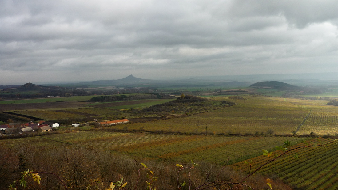 Kvítel a Hazmburk, v popředí vršíčky Lounek (344 m) a Baba.