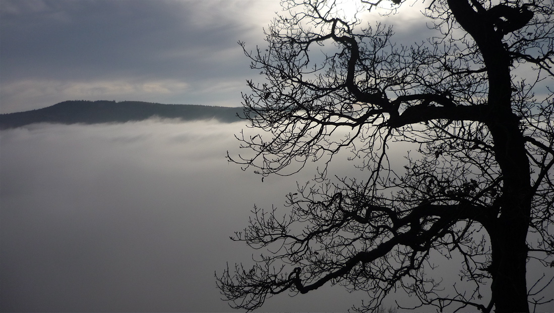 Hradišťany plují v mlze, pohled ze Štěpánovské hory.