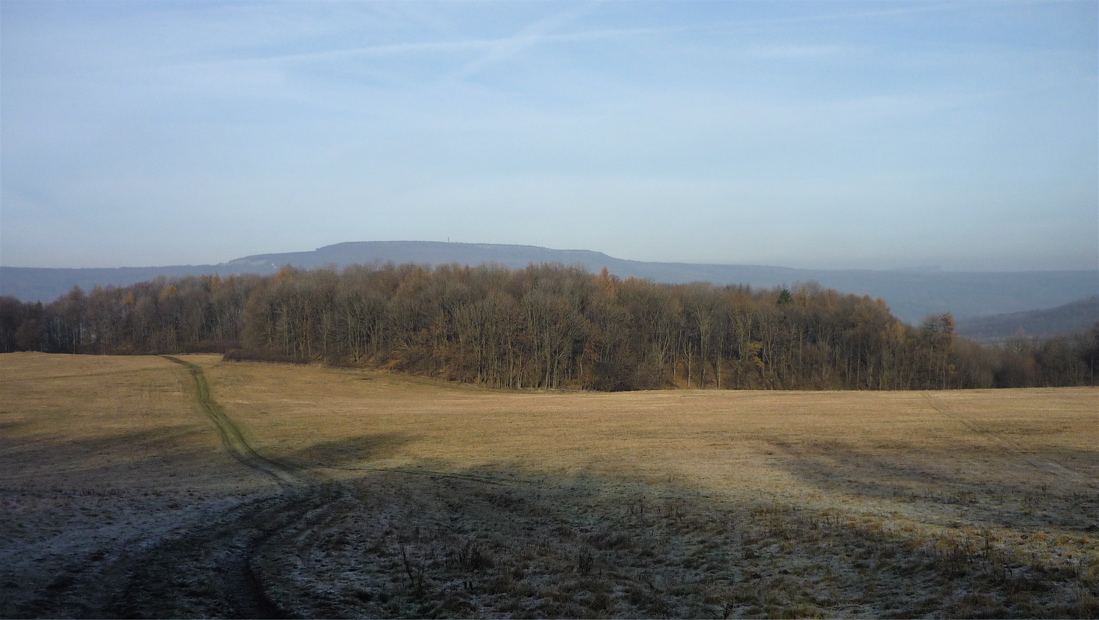 Stoupání na Javorský vrch. Ohlédnutí k Děčínskému Sněžníku.