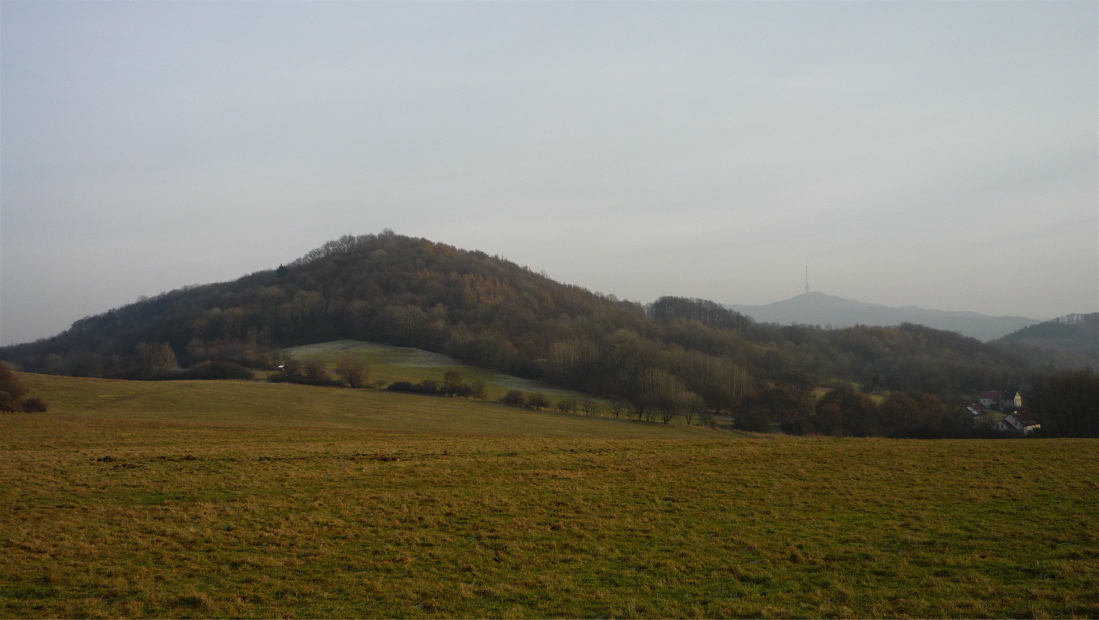 Hora (497 m) od Českého Bukova.