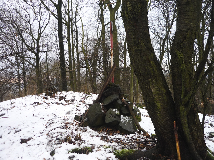 Druhá mohyla, triangulační tyč. Vlastní vrchol pusté Hory.