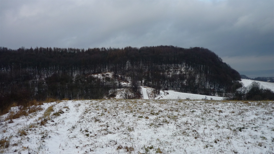 Východní cíp Hory z kóty 445 nad Maškovicemi.
