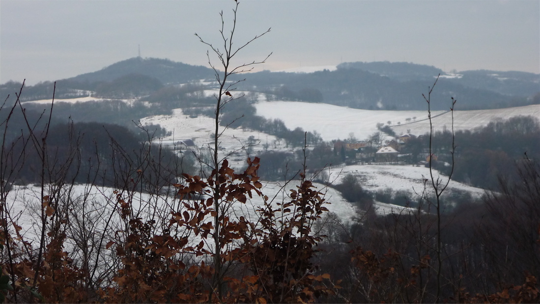 Slavošov z Bradla.