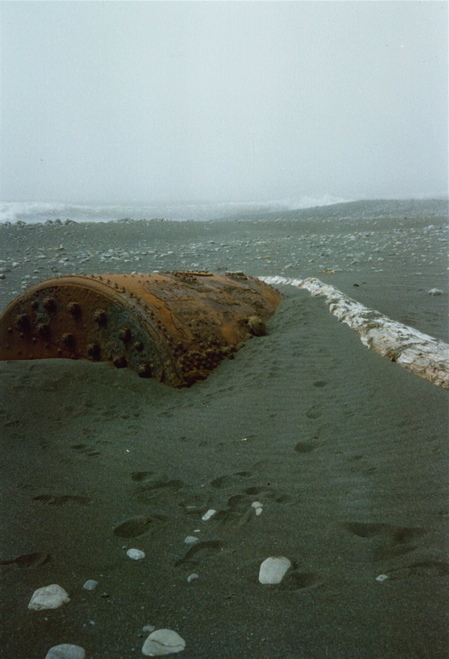 Lost Coast: zbytky vraku