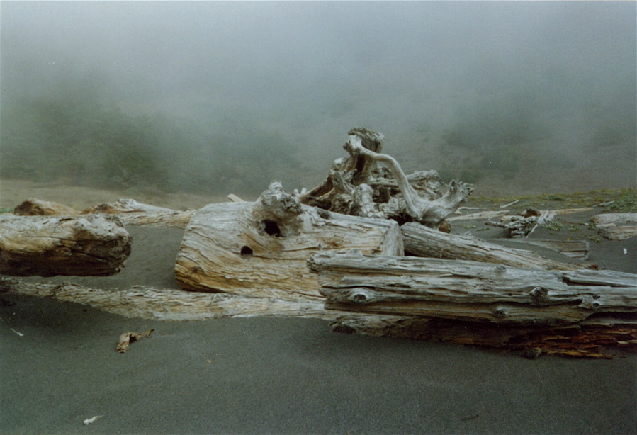 Lost Coast 