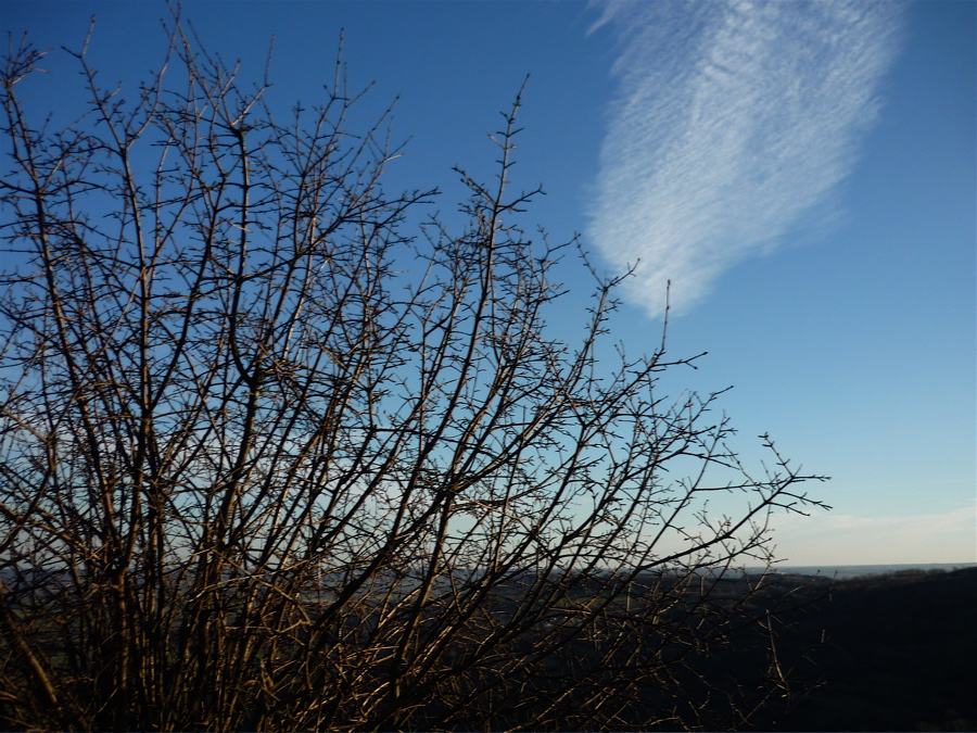 Cirrus.
