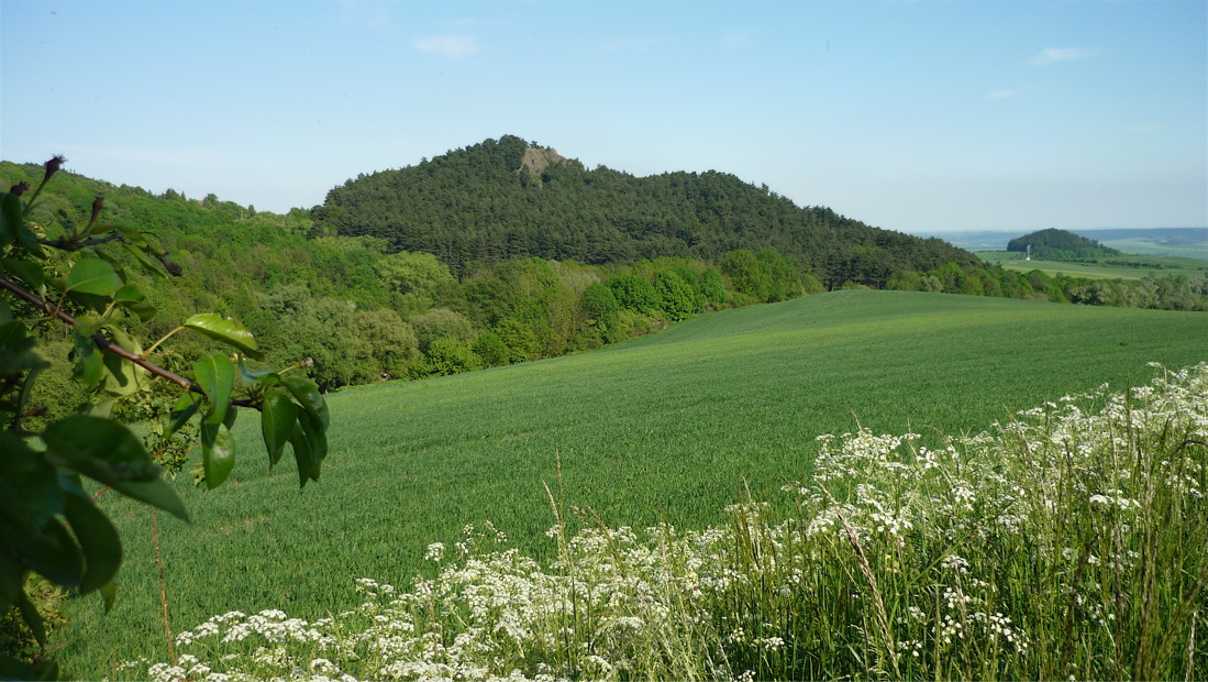 Kuzov od obce Staré. Květen 2014.