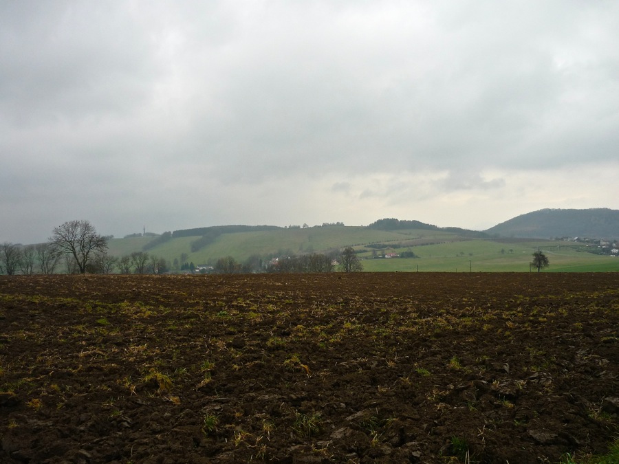 Pohled od Dobrné k Sokolímu vrchu (506 m).