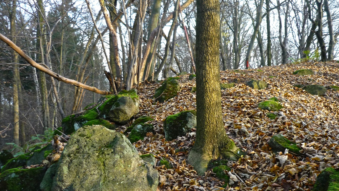 Na Pustém vrchu (499 m).