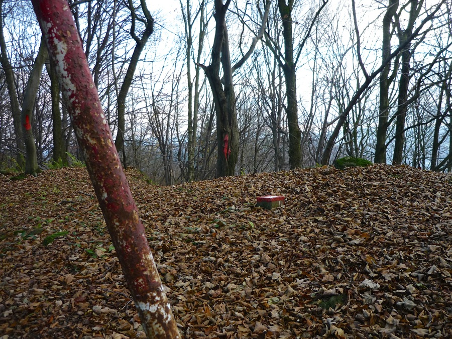 Pustý vrch - přesně tak. Můj jubilejní stý vrcholek Středohoří.