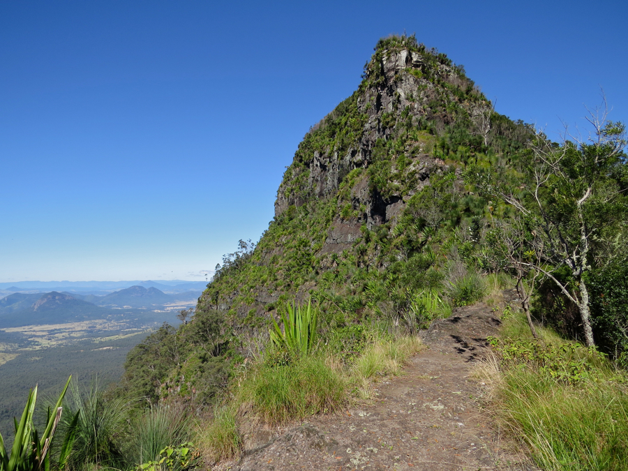 Niamboyoo (1146 m), Main Ranges, Queensland.