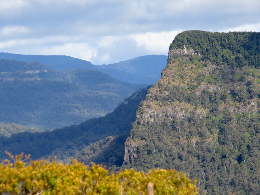 Spicers Peak (1220 m).