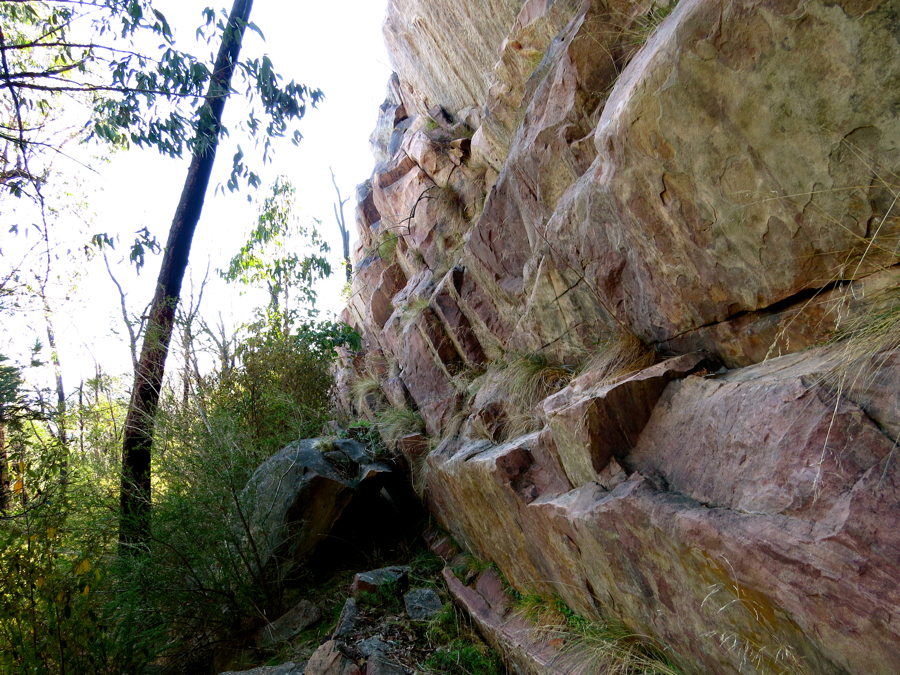 Růžovo-žluto-šedý sandstone, pískovec. 