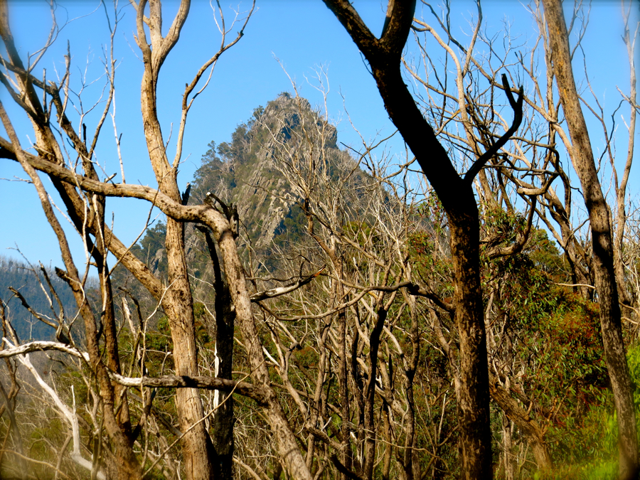 Sugarloaf Peak.