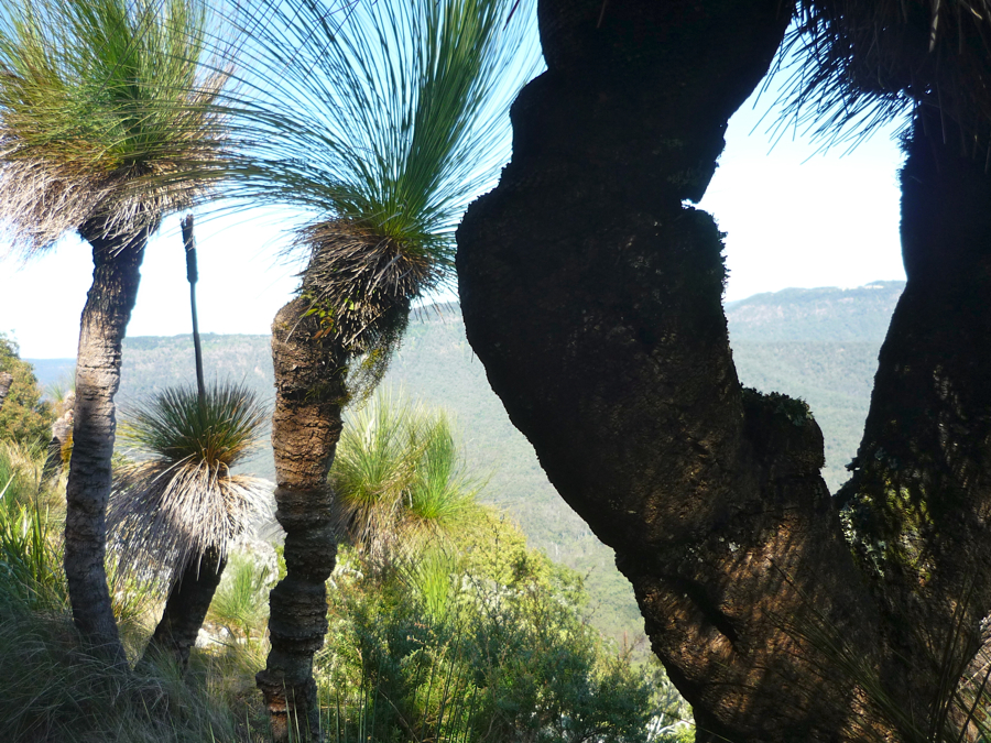 Cestou na Mount Cooyinnirra.