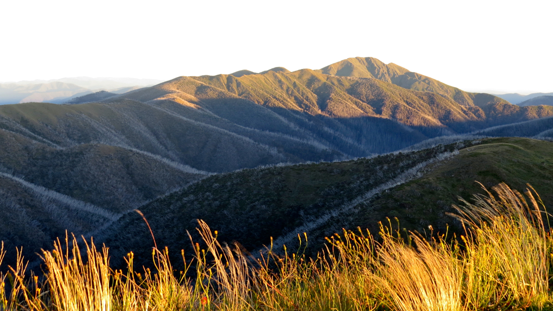 Mount Feathertop (1922 m), hřeben Razorback a první ranní paprsky.