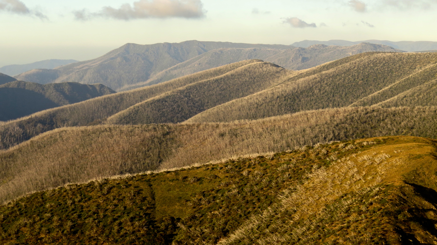 Pohled směrem k Mt Bogong, nejvyšší hoře státu Victoria.