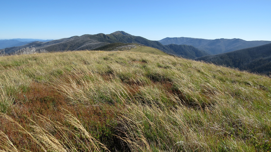 Legendární hřeben Razorback, vedoucík Mount Feathertop.