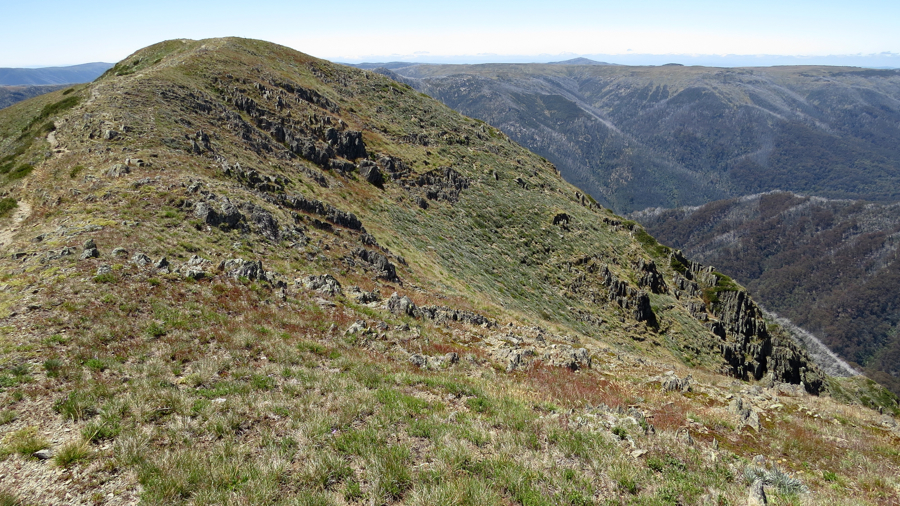 Vrcholový hřebínek Mount Feathertop.