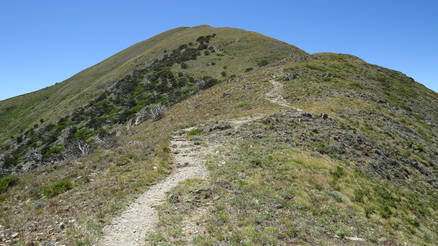 Ohlédnutí za Mount Feathertop.