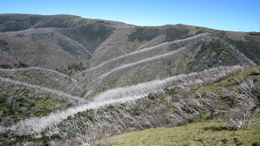 Zcela vlevo úbočí Mount Loch.