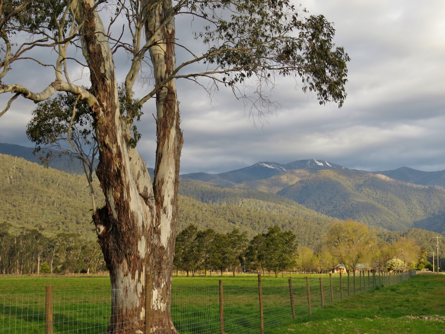 Australské Alpy z Ovens Valley.