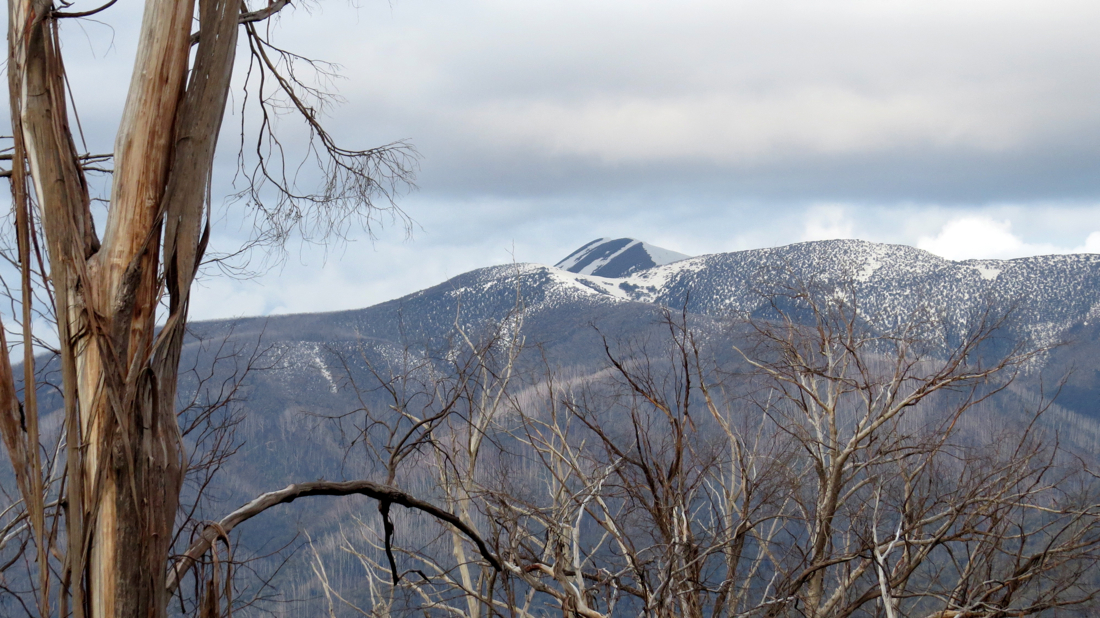 Pohled směrem k masivu Mount Feathertop.