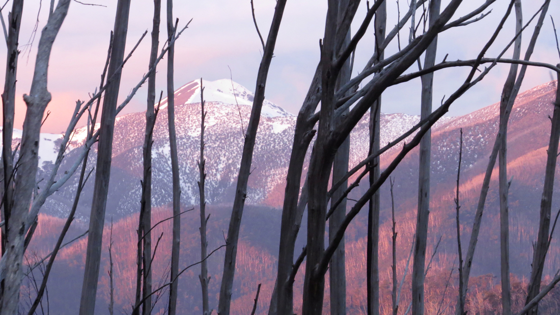 "Ikonická" australská hora Mount Feathertop.