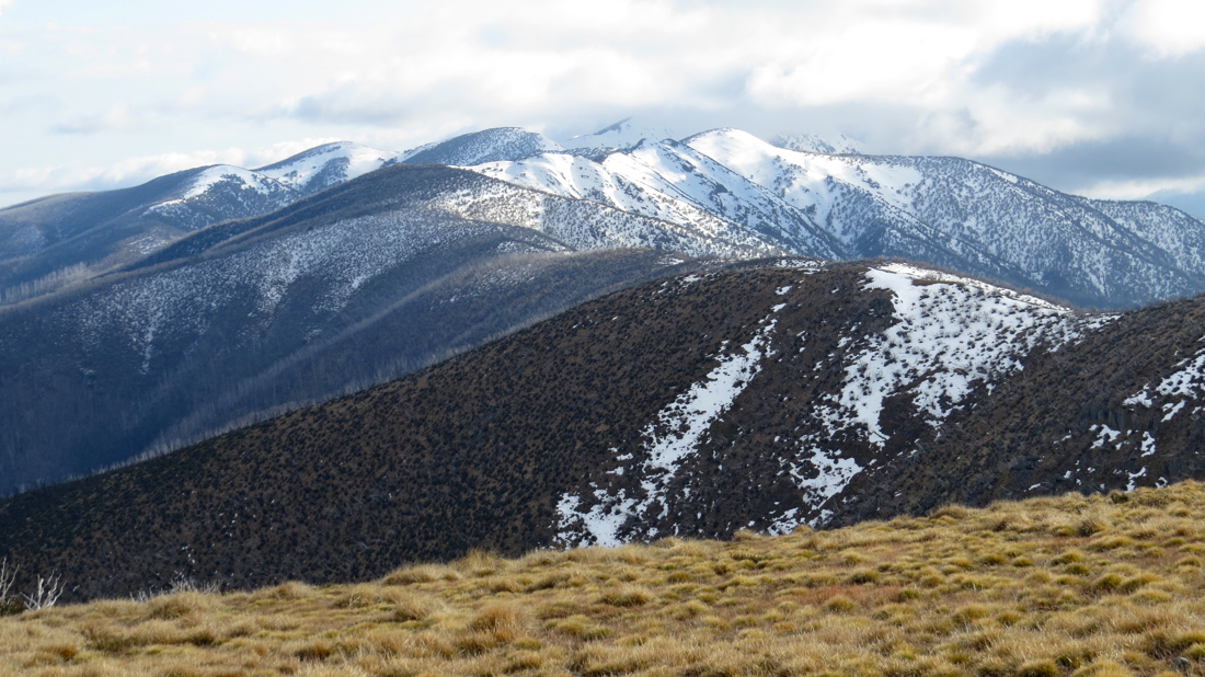 Razorback, Mount Feathertop se na obzoru skrývá v mlhách.