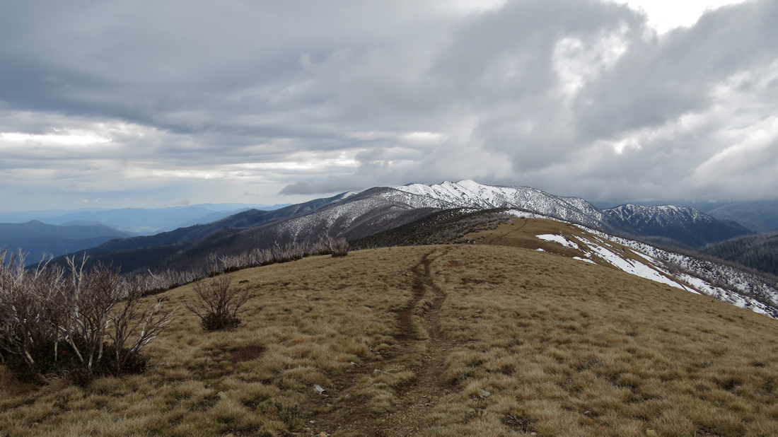 Razorback, klasická hřebenovka australských viktoriánských Alp.
