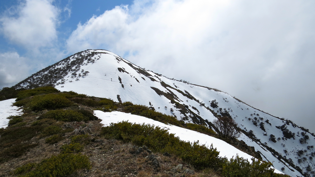 Molly Hill, poslední vrchol před stoupáním na Mount Feathertop.