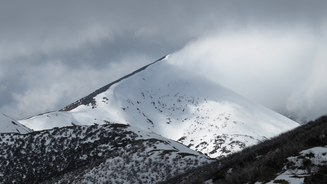 Předvrchol Mount Feathertop, pravý vrchol o kus dál v mlze.