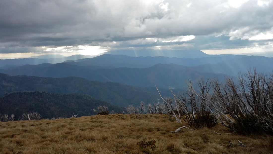 Déšť paprsků a v pozadí Mount Buffalo.