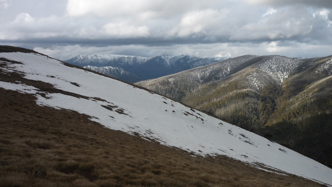 Pohled přibližně někam k Bogong Plains a Mount Bogong.