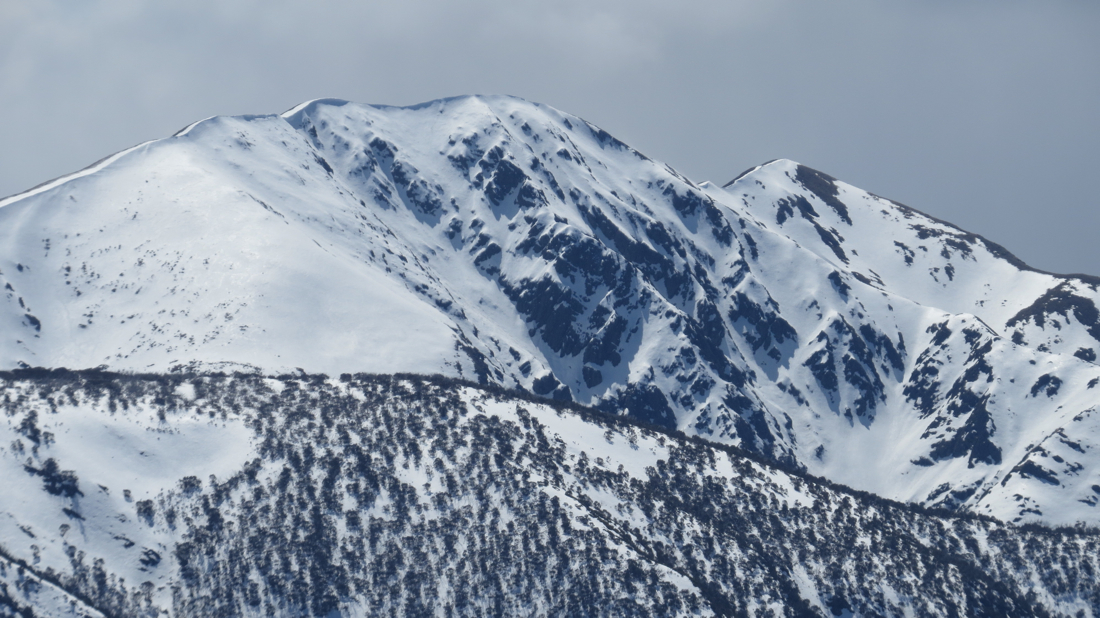 Mount Feathertop, vyrýsovaná sněhovými převějemi.