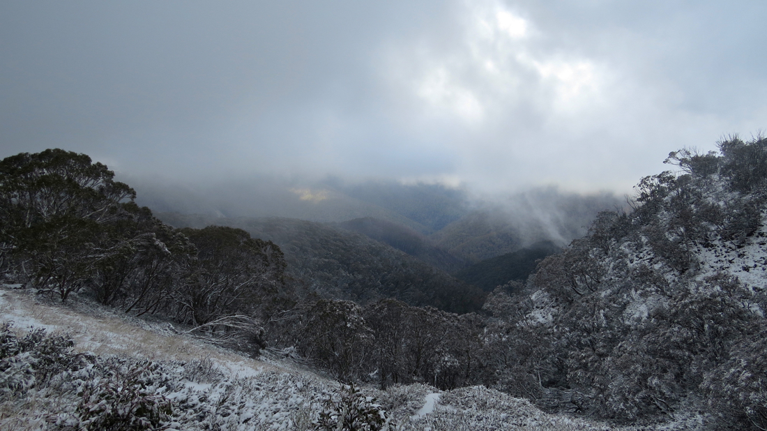 Dargo River Valley.