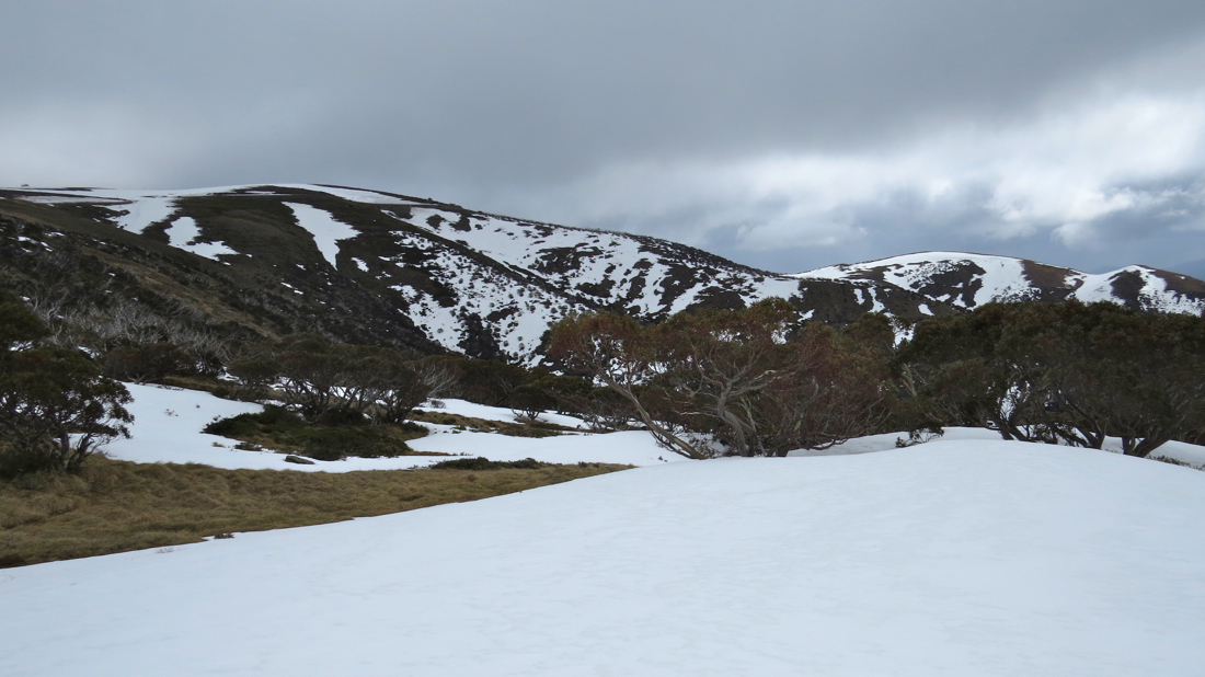 Mount Hotham (1884 m), Victorian Alps, Victoria (vlevo).