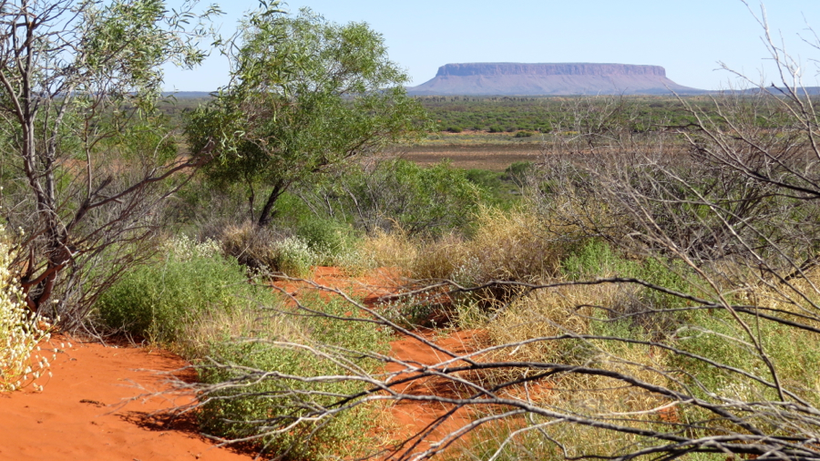 Mt Conner (859 m), na cestě směrem k Uluru.