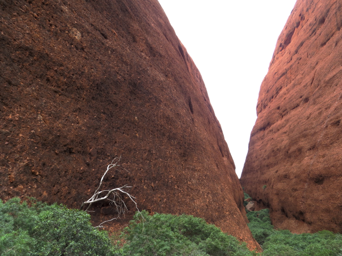 Walpa Gorge.