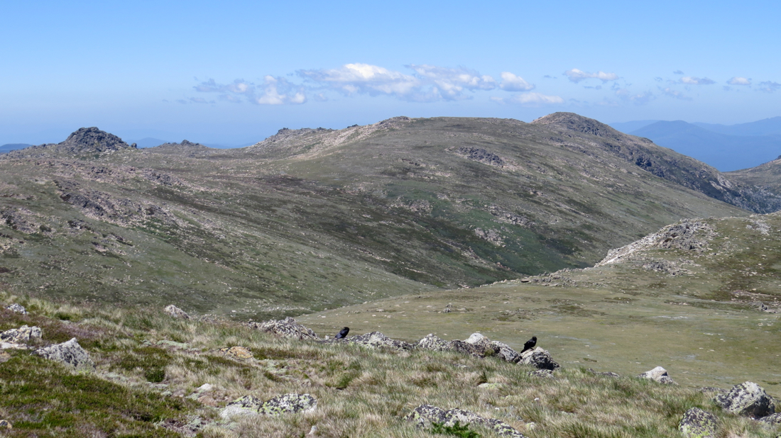 Ramshead Range, vpravo Mount Ramshead (2190 m).