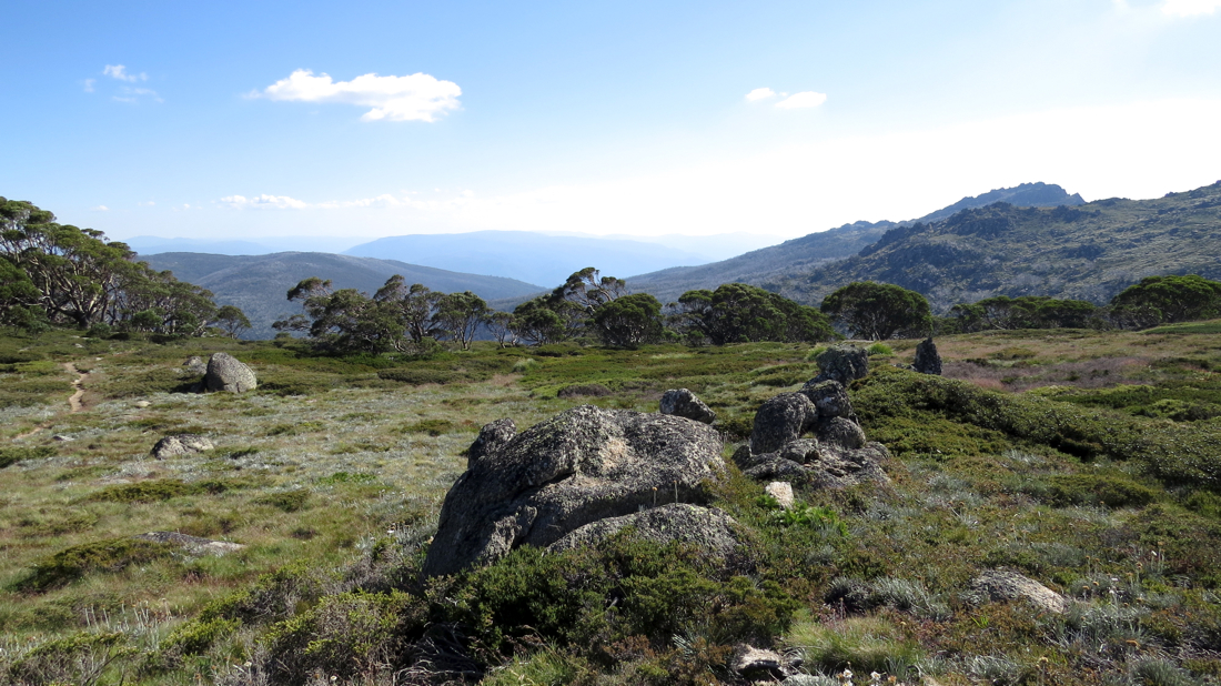 Vlevo Dead Horse Gap Trail, vpravo South Ramshead.