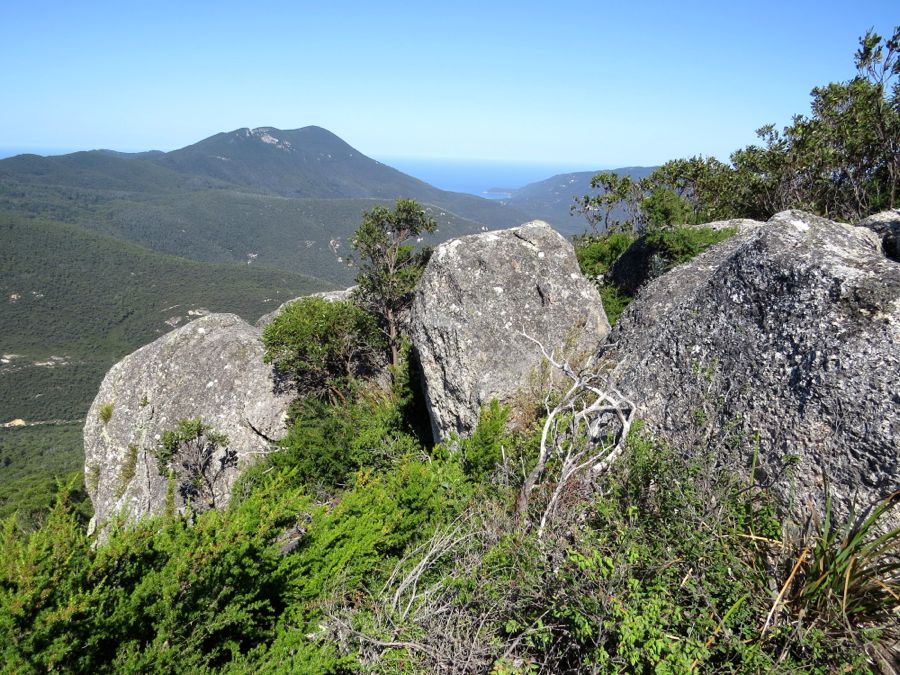 Mount Wilson (705 m) nejvyšší bod Wilsons Promontory.