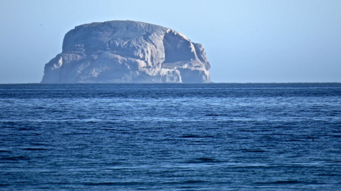 Těžko dostupný domov černých kormoránů, Cleft Island. 