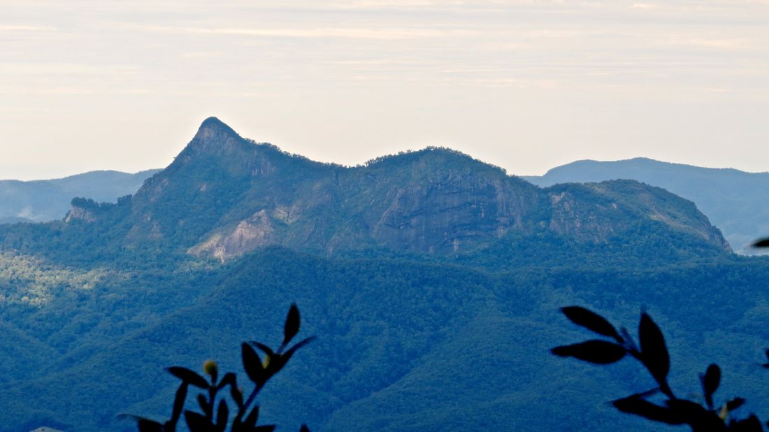 Wollumbin čili Mt Warning ze sporadického pralesního výhledu.