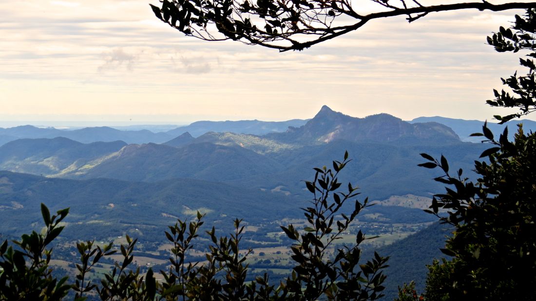 Wollumbin z vyhlídky pod horou Toolona (Lamington NP).