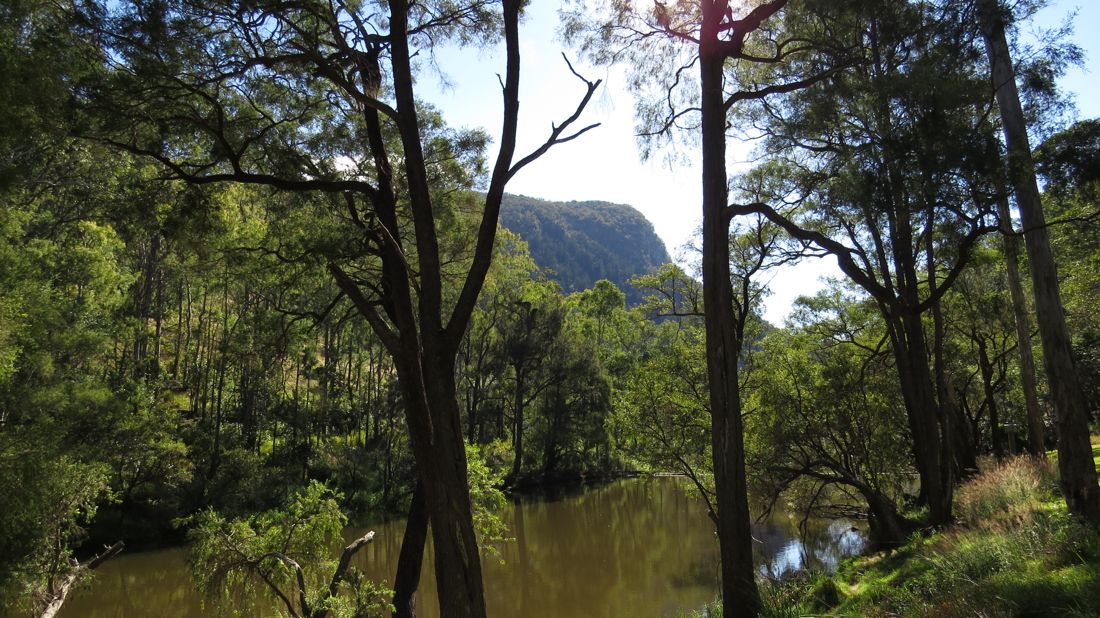 Mount Edwards z pohledu od Reynolds Creek.