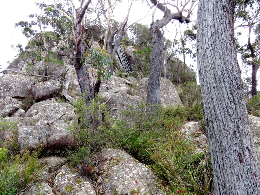 S dcerou na Genoa Peak (490 m), Croajingolong NP, Victoria. 