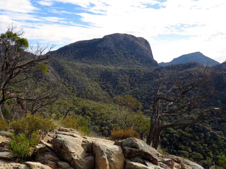 Bluff Mountain (1200 m) a Mount Exmouth (1206 m).