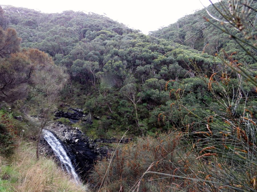 Sheoak Falls poblíž Lorne.